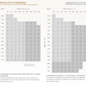 2Y系列擺線液壓馬達(dá)