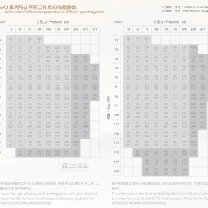 6Y系列擺線液壓馬達(dá)